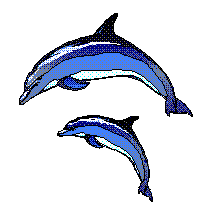 Delfín (10).GIF