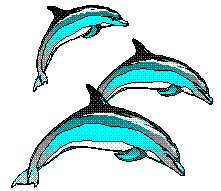 Delfín (12).gif